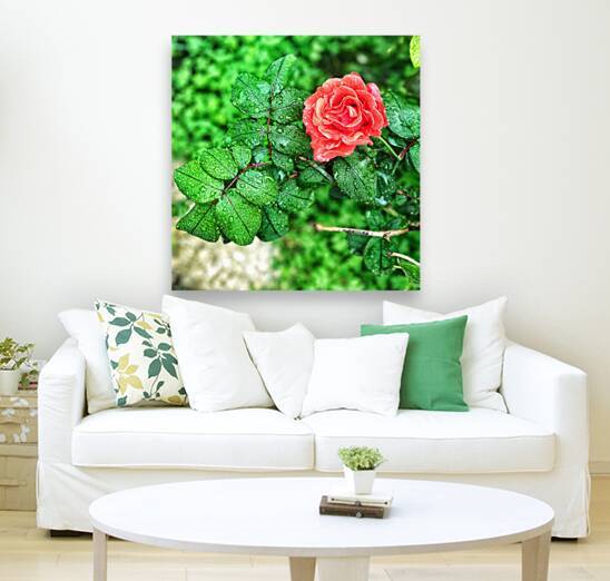 World6 by Eddy Tales