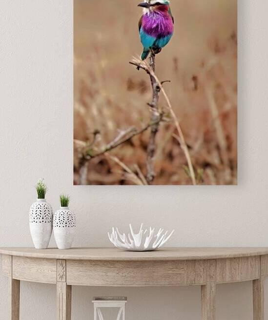 African bird by Eddy Tales